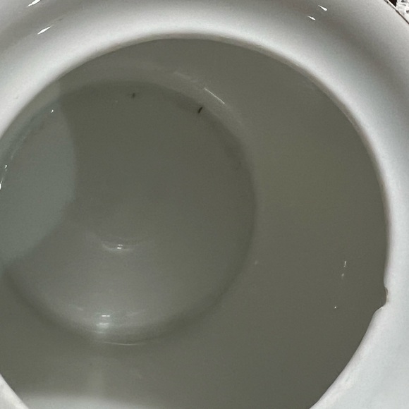 Vintage Thomas Bavaria Sugar Bowl with rose design - Picture 14 of 14